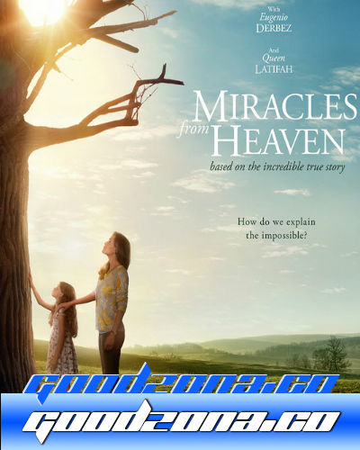 Чудеса с небес (2016) 